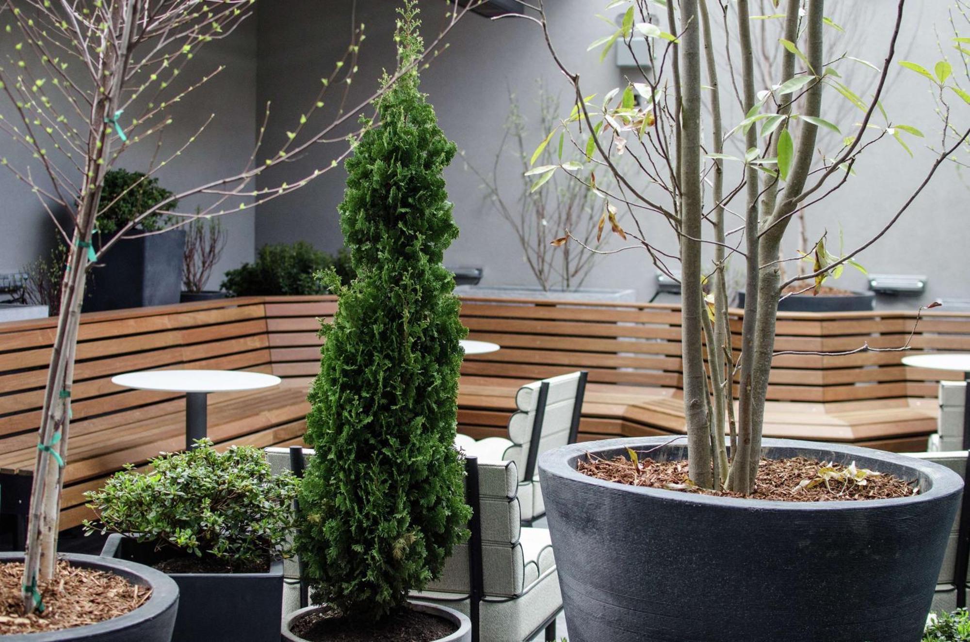 Freepoint Hotel Cambridge, Tapestry Collection By Hilton Exteriör bild